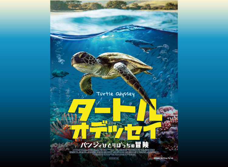 タートルオデッセイ～バンジィひとりぼっちの冒険～