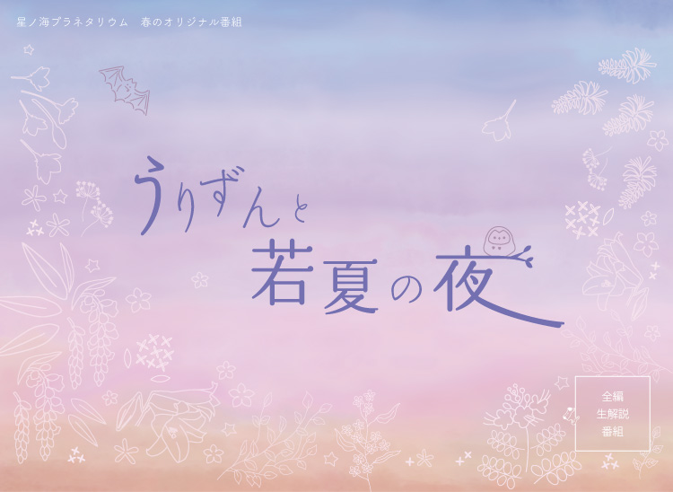 オリジナル番組<br>うりずんと若夏の夜